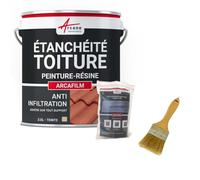 Réparation Étanchéité Toiture, Tuile, Gouttière, Chéneau 2.5 L Paille | Répare et Étanche Toitures, Tuiles, Gouttières, Fissures, Souche de Cheminée, Adhère Tous Supports - Arcane Industries