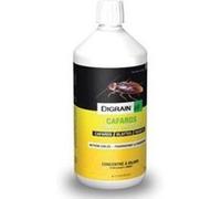 DIGRAIN Repulsif cafard et blatte à diluer Huile 1000 m2