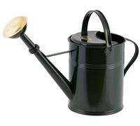 Réservoir d'eau de 5 litres - idéal pour l'intérieur et l'extérieur - vert - acier