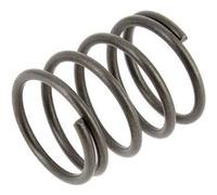 Ressort piston d=29mm, 4.007.0025 - nettoyeur haute pression