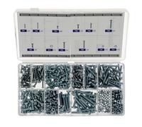Restagraf - Coffret de Vis à Métaux Tête Cylindrique Fendue - Avec Écrous - M3-0.50 à M5-0.80 - DIN 84 / DIN 934 - Réparation et Maintenance Automobile - Réf. 70112 - Coffret de 557 pcs