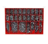 Restagraf - Coffret de Vis à Tôle Tête Cylindrique Bombée - Zingué Blanc - Diamètre 2,9 à 6,3 mm - DIN 7981 - Réparation et Maintenance Automobile - Réf. 22 - Coffret de 1376 pcs