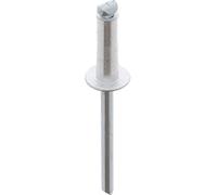 Restagraf - Rivet Standard Aluminium & Tige Acier - Compatible avec Fiat, Nissan, Opel, Renault, Škoda, Volkswagen - Diamètre 4,8 mm - Longueur 16 mm - Réf. 4059 - Boîte de 500