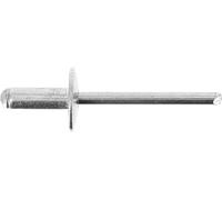Restagraf - Rivet Tête Large Aluminium & Tige Acier - Compatible avec AUDI A4, DACIA LOGAN I, SANDERO I, RENAULT MODUS - Diamètre 4,8 mm - Longueur 12 mm - Réf. 4301 - Sachet de 55