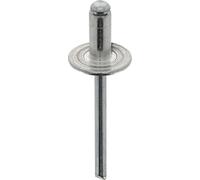 Restagraf - Rivet Tête Large Aluminium & Tige Acier - Compatible avec Peugeot 308, 508, Renault Clio III, Modus - Diamètre 4,8 mm - Longueur 10 mm - Réf. 4102 - Boîte de 250