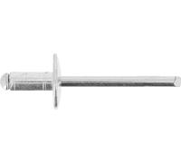 Restagraf - Rivet Tête Large Aluminium & Tige Acier - Compatible avec PEUGEOT 308, 508, RENAULT CLIO III, MODUS - Diamètre 4,8 mm - Longueur 10 mm - Réf. 4300 - Sachet de 61