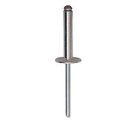 Restagraf - Rivet Tête Large Aluminium & Tige Acier - Diamètre 4,8 mm - Longueur 25 mm - Réf. 4306 - Sachet de 38