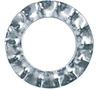 Restagraf - Rondelle Éventail à Denture Externe (AZ) - Diamètre 7 x 12 mm - NFE 27-624 - Répartition de Charge - Usage Automobile et Bricolage - Réf. 552 - Sachet de 35