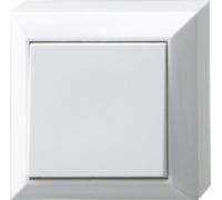 REV complet Bouton-poussoir blanc 0501492551