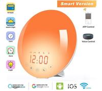 Réveil Lumineux Simulateur d'Aube et Crépuscule 7 Color Lights Radio FM Double Alarme Fonction Snooze Veilleuse