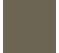 Revêtement Étanchéité Coloré - Résine Pour Toiture Et Tuile : Arcafilm - 10 L Brun - Arcane Industries