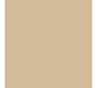 Revêtement Étanchéité Coloré - Résine Pour Toiture Et Tuile : Arcafilm - Offre Spéciale : 5 X 10l Paille - Arcane Industries