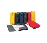 Rexel 00023908 Boîte de rangement pour fichiers