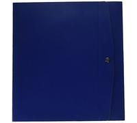 Rexel Lomo 8cm Boîte de rangement Bleu 260 mm 8 cm 36 cm 320 mm 8 mm