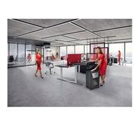 REXEL Destructeur de papier Rexel AutoFeed+ 600M Déchiquetage par micro-coupe 55 dB 23 cm Noir, Gris