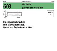 Reyher DIN 603 Mu pcs M16x300 galv. zingué gal Zn S