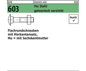 Reyher DIN 603 Mu pcs M20x200 galv. zingué gal Zn S