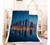 RFFLUX 3D New York Couverture 150x200 cm 2 Personnes Moelleuse Douce et Chaude New York Sherpa Couverture Polaire en Microfibre Canapé La Chambre Jete de lit Blanket（Style 224-12）
