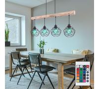 RGB LED Cage Luminaire Suspendu Intensité Variable Bois Bâton de Plafond Couleur
