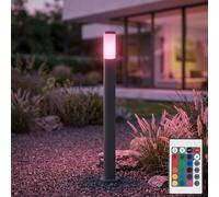 Lampadaire extérieur RGB LED lampadaire changeur de couleur dimmable Lampadaire extérieur colonne en acier inoxydable, avec télécommande, hauteur 110 cm
