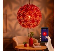 RGB LED Lampe Suspendue Couvrir Smart Accueil App-Sprachsteuerung Alexa Wifi