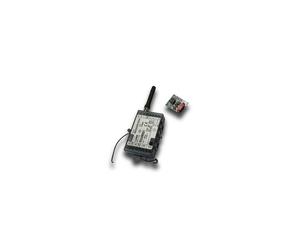 RGSM001AC GSM GATEWAY RADIO Contrôle d'accès - CAME 806SA-0170