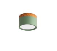 RGTTF11HF 5W 7W 9W12W 15W LED plafonnier monté en Surface Spot nordique for Foyer intérieur salon LED Downlight(Natural White 4000k,Green)