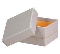 RHODIA 318881C - Set de 5 Boîtes Gigognes Argent - Piqûres Sellier Orange - Extérieur Simili Cuir - Collection Home Office rama - Organisation de Bureau & Rangement Design