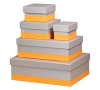 Rhodiarama set 5 boîtes gigognes simili cuir italien 44x34x16 cm - Argent