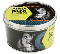 Rhodius 209317 LSZ F2 BOX Disque segmenté Diamètre 125 mm Ø de perçage 22.23 mm