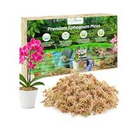 Riare 150g Sphaigne pour Plante Naturelle Compressé Sphaigne pour Orchidées Mélange pour Pot - pour la Culture de Plantes à la Maison,Fée Jardins (150g)