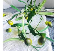 Riaxuebiy 2 x 7.5 FT Olives Artificielles Vigne Guirlande Plantes Fleurs Fruits Arts pour Cérémonie Mariage Maison Décoration (Olives Vert)