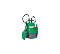 Ribimex PRPVC249 Pompe submersible eau claire 250 W, Vert/gris, 250 W