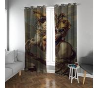 Rideau de fenêtre occultant doré Jacques-Louis David Style Traitement de fenêtre Beau Napoléon général Imprime pour la décoration d’intérieur 2 Panneaux 140x245cm