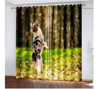 Rideaux Thermiques Isolants Anti Chaleur Occultants - [2999] - Blanc - 60 x 120 cm