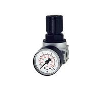 RIEGLER 100348-RB 06-3 Multifix-mini Régulateur de pression G 1/4 0,1-3 bar