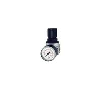 RIEGLER 100350-RB 06-10 Régulateur de pression multifix-mini G 1/4 0,5-10 bar