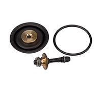 RIEGLER 100438-22.1811.4 Kit de pièces d'usure avec membrane, cône de valve et joint torique 30 x 2