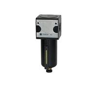 RIEGLER 100525-F 34 M-SR Filtre multifix avec structure métallique et tube d'observation 5 µm, BG 3, G 3/4, HA
