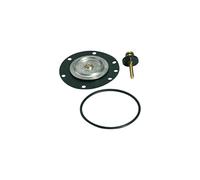RIEGLER 100953-22.643.4 Kit de pièces d'usure pour régulateur de filtre standard BG 4