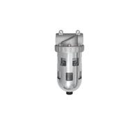 RIEGLER 100963-640.116 S Filtre standard avec récipient PC et panier de protection 5 µm, BG 1, G 1/4, 1 pièce