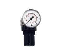 Riegler 101303 Régulateur de pression d'eau Manomètre G 1/4 0,1-3 bar