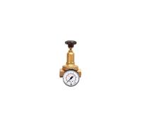 RIEGLER 101430-200.05 DRV 200 Régulateur de pression standard G 1 1,5-8 bar