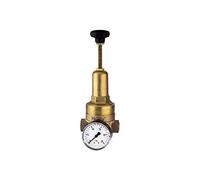 RIEGLER 101440-400.04 DRV 225 Régulateur de pression haute pression G 3/4 1,5-20 bar