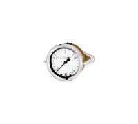 RIEGLER 102285-1008 Glyzerinmano Anneau avant triangulaire G 1/4 centre, 0-25 bar, Ø 63, 1 pièce
