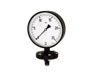 RIEGLER 102591-PL 1917 Ressort à plaque, robuste, G 1/2 radial inférieur, 0-16,0 bar, Ø 100, 1 pièce