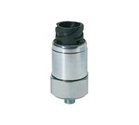 RIEGLER 103023-DS 4601 Pressostat à baïonnette en acier galvanisé, G 1/8, 0,5-2 bar, 1 pièce