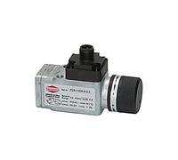 RIEGLER 103034-DS 5822 Interrupteur à bouton-poussoir électrique avec raccord M12 x 1 et connecteur G 1/4 0,5-8 bar