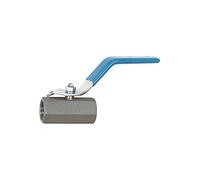 RIEGLER 103479-374.03-ES Robinet à boule en acier inoxydable 1.4408 1 pièce