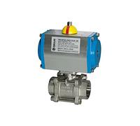 RIEGLER 103612-350.526 ES-Kuha pneumat Actionneur à action simple, Rp 2 1/2, DN 65, 1 pièce